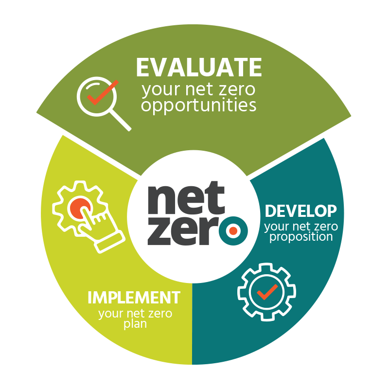 Evaluate your net zero opportunities